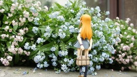 一个小女孩在院子里赏花