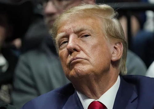 特朗普与教皇图像对比分析图