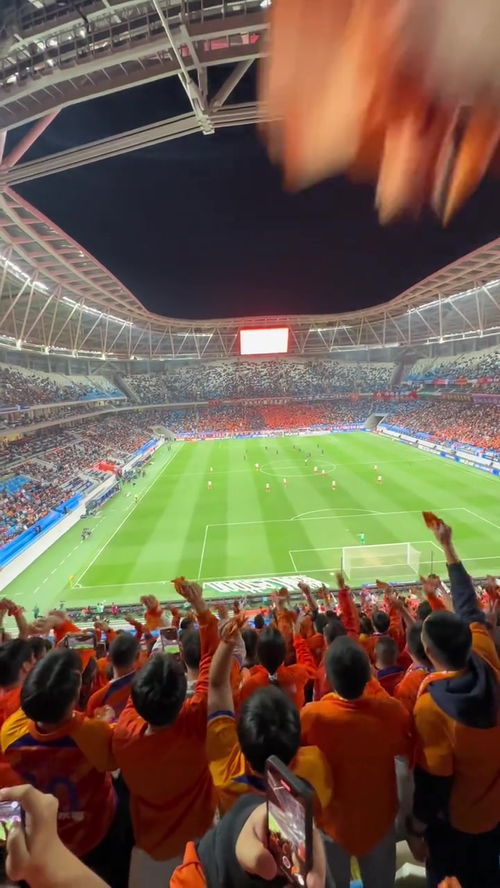 齐鲁德比平局收场，山东泰山队艰难战平海牛，瓦科乱战进球，克雷桑带伤坚持，蓬荜生辉再出场毫无作用，赛后崔康熙久久不离替补席