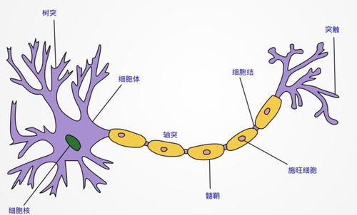 图神经网络结构示意图