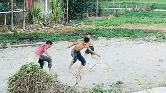 田野里孩子们玩耍的场景