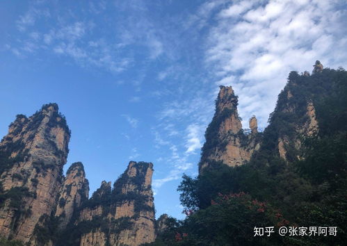 张家界景区内大量人群等待下山