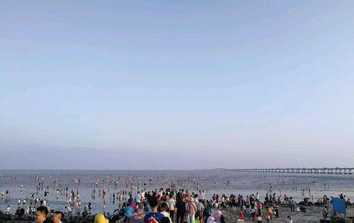 上海南汇海滩警示标志和防护设施