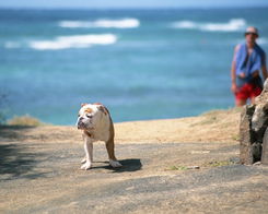 夏日海边阳光沙滩休闲场景