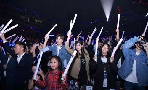 粉丝手持荧光棒观看演唱会现场