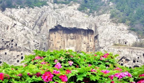 龙门石窟游船失控事件亲历记：惊魂一刻与温情救援