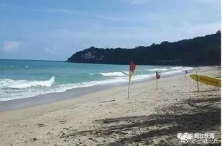 中国游客在泰国海滩游玩