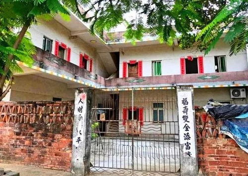 实探全红婵老家建房现场：从奥运冠军到农村别墅梦，背后的故事令人动容