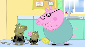 小猪先生在地板上打滚