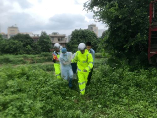贫困地区的孩子用餐场景