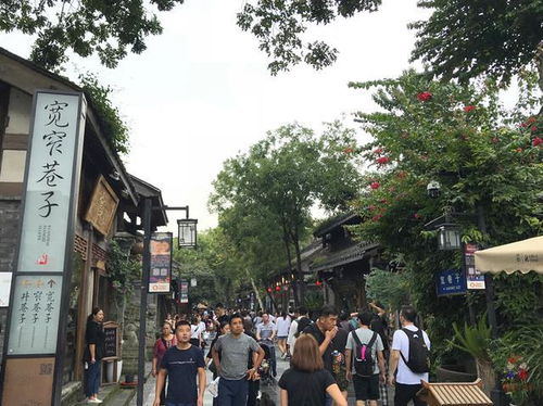 成都宽窄巷子人山人海