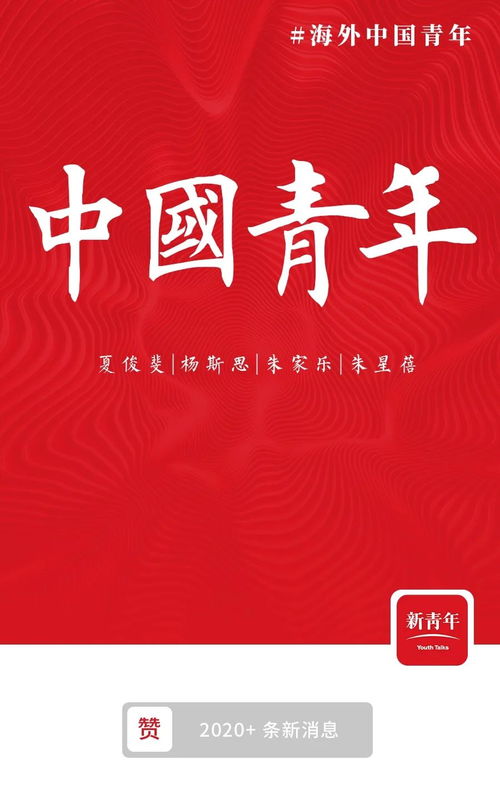 中国青年海外正义行为