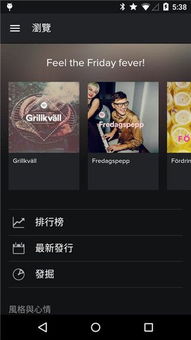 iOS版Spotify应用内跳转支付流程演示图