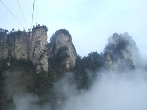 上千名游客深夜滞留张家界事件全记录：我亲历的混乱夜晚