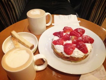 一席闲聊：在快节奏时代，我如何找回内心的平静