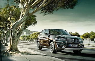 宝马AI生态全景图示意图