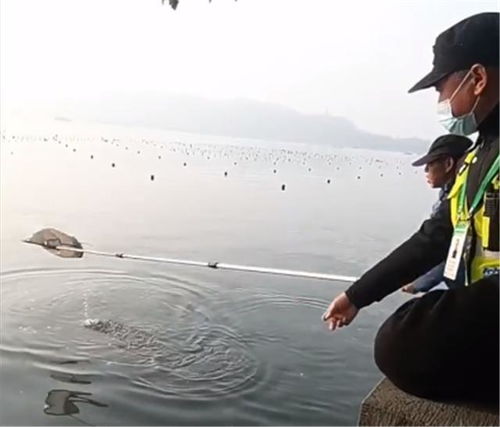 一名游客正在向水中投喂食物