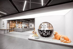 伯希和线下体验店内部陈设