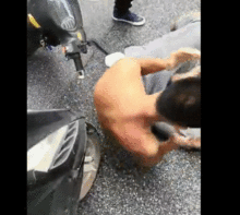 外卖小哥与男子对话场景