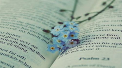 《散文杂谈-6》——那些年，我在简书写下的文字与生活