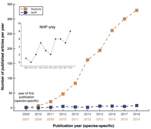 光遗传+小胶质细胞：揭秘神经疾病的未来疗法