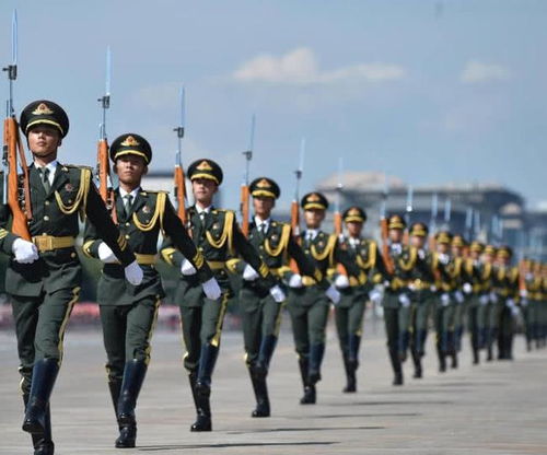 美国阅兵式6月14日即将举行？真相揭秘与背后故事全解析