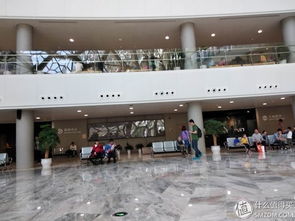 “五一”假期旅游热爆！我亲历上海、重庆、张家界等地的火爆现场