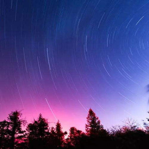 杏坛深处自成蹊：在诗意与哲思中寻找生命的答案