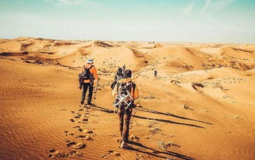 图片内容<p>这些人都有一个共同点——他们不等不靠，主动出击，在各自的领域里发光发热。他们的故事告诉我，只要心中有梦，脚下就有路。</p><br><p id=