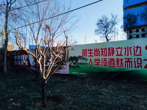 阿拉木图街头的中文横幅和滴滴广告<p>不只是普通游客，不少自媒体博主也把镜头对准了这片土地。我在一家当地餐厅吃饭时，就遇到一个正在拍摄vlog的短视频团队，他们说：“现在大家看腻了东南亚海岛和欧美城市，想拍点不一样的内容。”</p><br><h2 id=