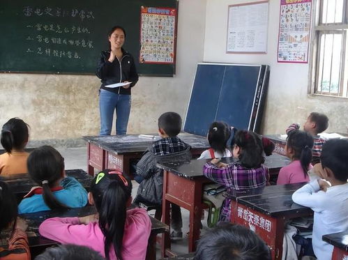 以生命之网编织教育人生——一位乡村教师的成长图谱