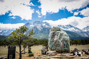 玉龙雪山脚下的游客合影