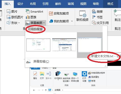 文档截图中的诡异照片