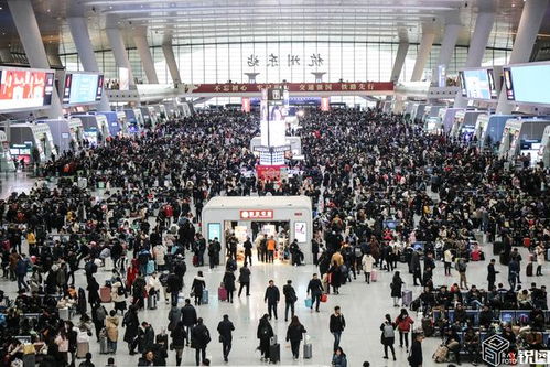 五一假期爆火！多地旅游热度破表，我亲历的“人从众”现场