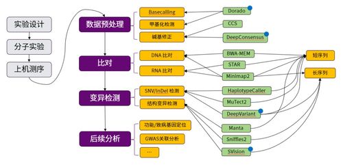 网络评论与情绪管理示意图