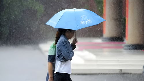 夜晚下雨街头两位陌生人共撑一把伞<p>还有一次，我在公园长椅上看书，一只小猫跳上来蹭了蹭我的腿。我摸了摸它的头，它就趴在我旁边安静地睡着了。那一刻，我感受到一种从未有过的宁静与安心。</p><p>这些瞬间，都是生活赠予我的“小确幸”。它们或许微不足道，但却真实地存在着，并悄然改变着我对世界的看法。</p><br><h2 id=