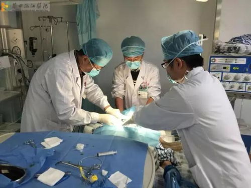 董某莹‘速成’医学博士？1年规培登手术台，圈内人怎么看？