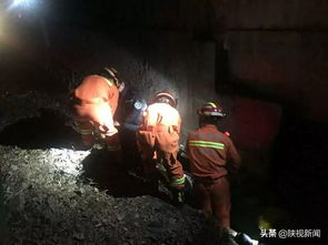 男子高速应急车道如厕，交警体谅未扣分！网友热议：这也能理解？