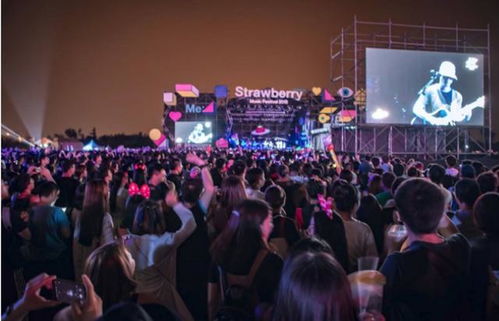 草莓音乐节现场人群狂欢画面