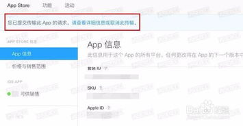 开发者调试AI代码