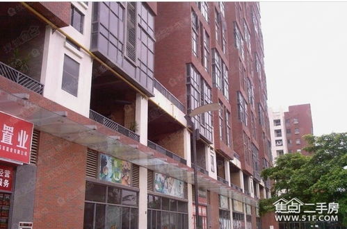 以高质量就业服务，激活乡镇发展“人才引擎”