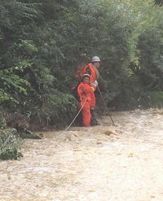 陕西一景区突发虫子袭人事件，游客惊魂未定！
