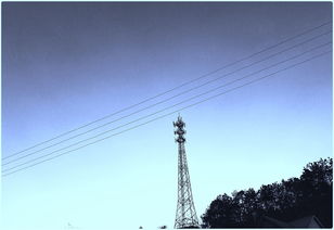 夕阳下的空网球场