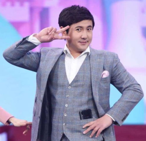 沈腾与马丽节目对话截图