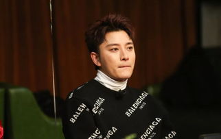 贾乃亮与李小璐机场同框照片