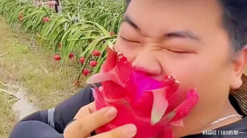 全红婵哥哥回应老家新房争议：不是豪宅，是家的温暖