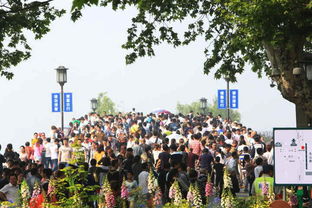 杭州西湖五一假期游客爆满实景图<p id=