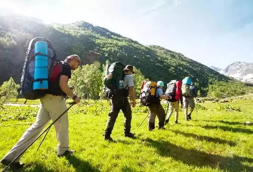 捷克登山客在山林中挖掘现场