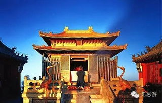 武当山道观前的杰克写毛笔字