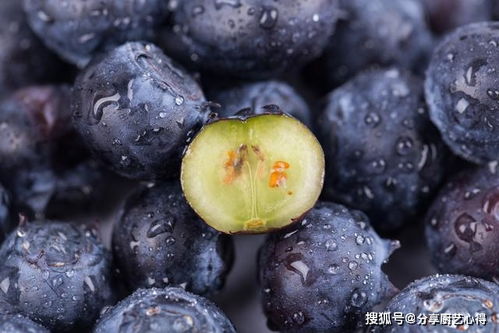 蓝莓清洗前后对比图